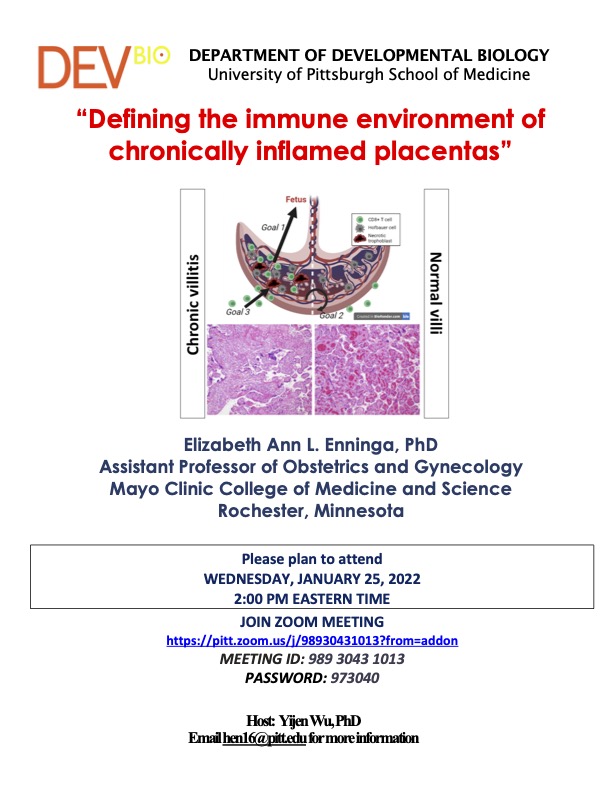 Elizabeth Ann L. Enninga, PhD -Defining the immune environment of chronically inflamed placentas