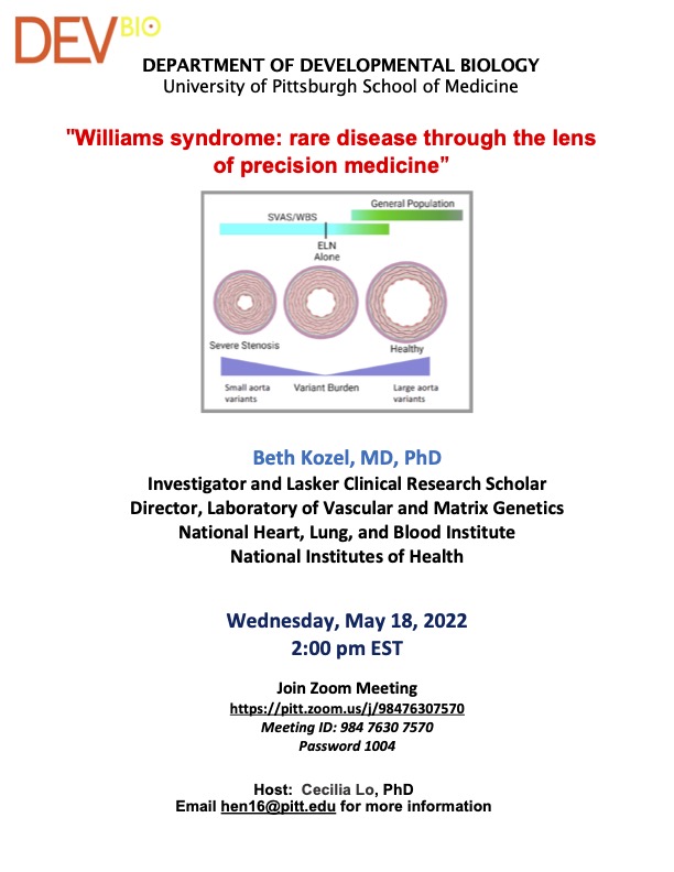 Williams syndrome: rare disease through the lens of precision medicine